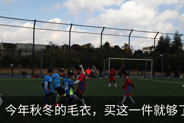 今年秋冬的毛衣，买这一件就够了！