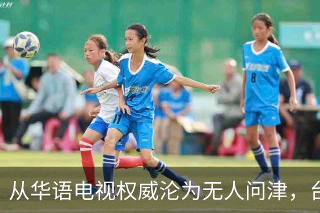 从华语电视权威沦为无人问津，台湾金钟奖，只剩仔仔和深V撑场面