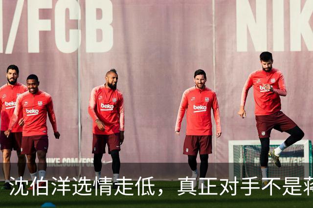 沈伯洋选情走低，真正对手不是蒋万安，也不是大陆，而是赖清德？