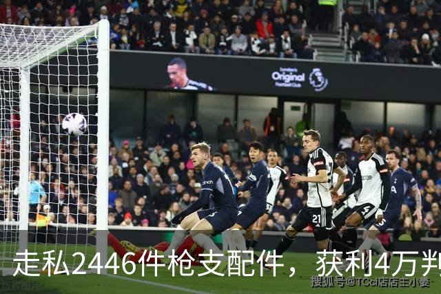 走私2446件枪支配件，获利4万判了10年，国家射击教练田红案披露